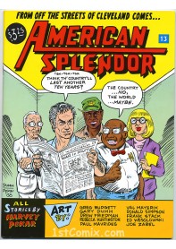 American Splendor #13