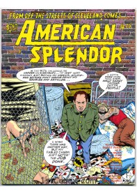 American Splendor #15