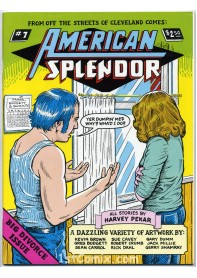 American Splendor #7